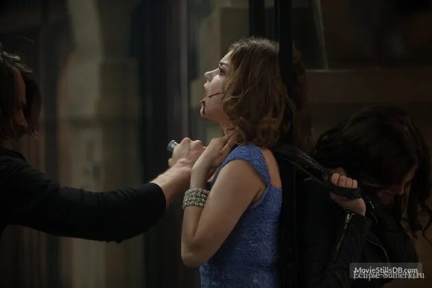 райчел мид академия вампиров. академия вампиров фильм 2014. академия вампиров 4. обложка книг поо вампиров. академия вампиров 4.