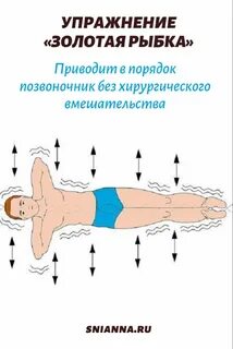 Гимнастика ниши