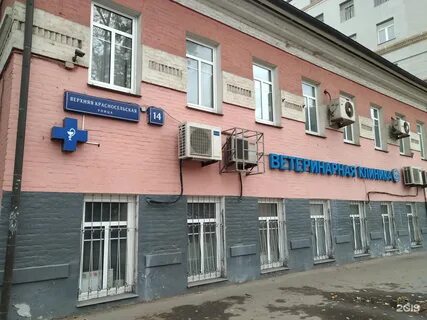 Красносельская ветеринарная лечебница верхняя