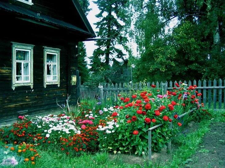 палисадник 3 на 3. палисадник перед забором англия. палисадник энфилд. палисад деревня кусты. зарастающий палисадник.