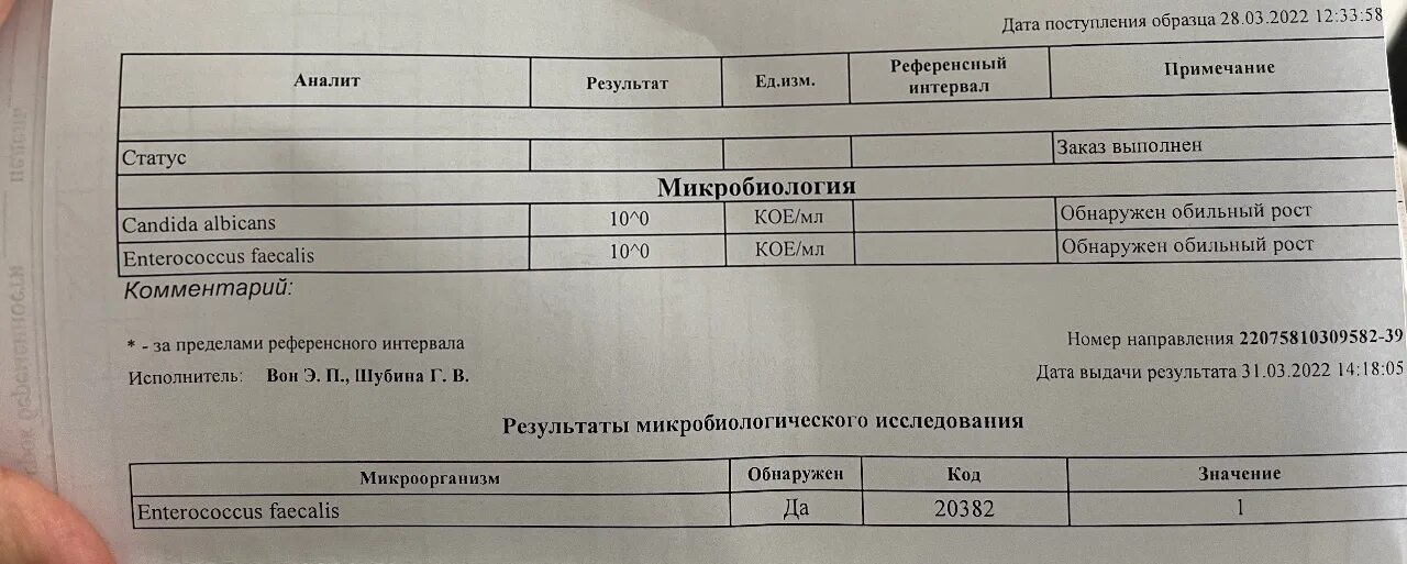 Фекальный энтерококк норма. Энтерококк фекалис показатели. Staphylococcus spp норма у мужчин в мазке. Энтерококк при беременности. Enterococcus faecalis в моче при беременности 10 в 3.