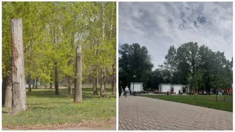 Сдача парков в аренду