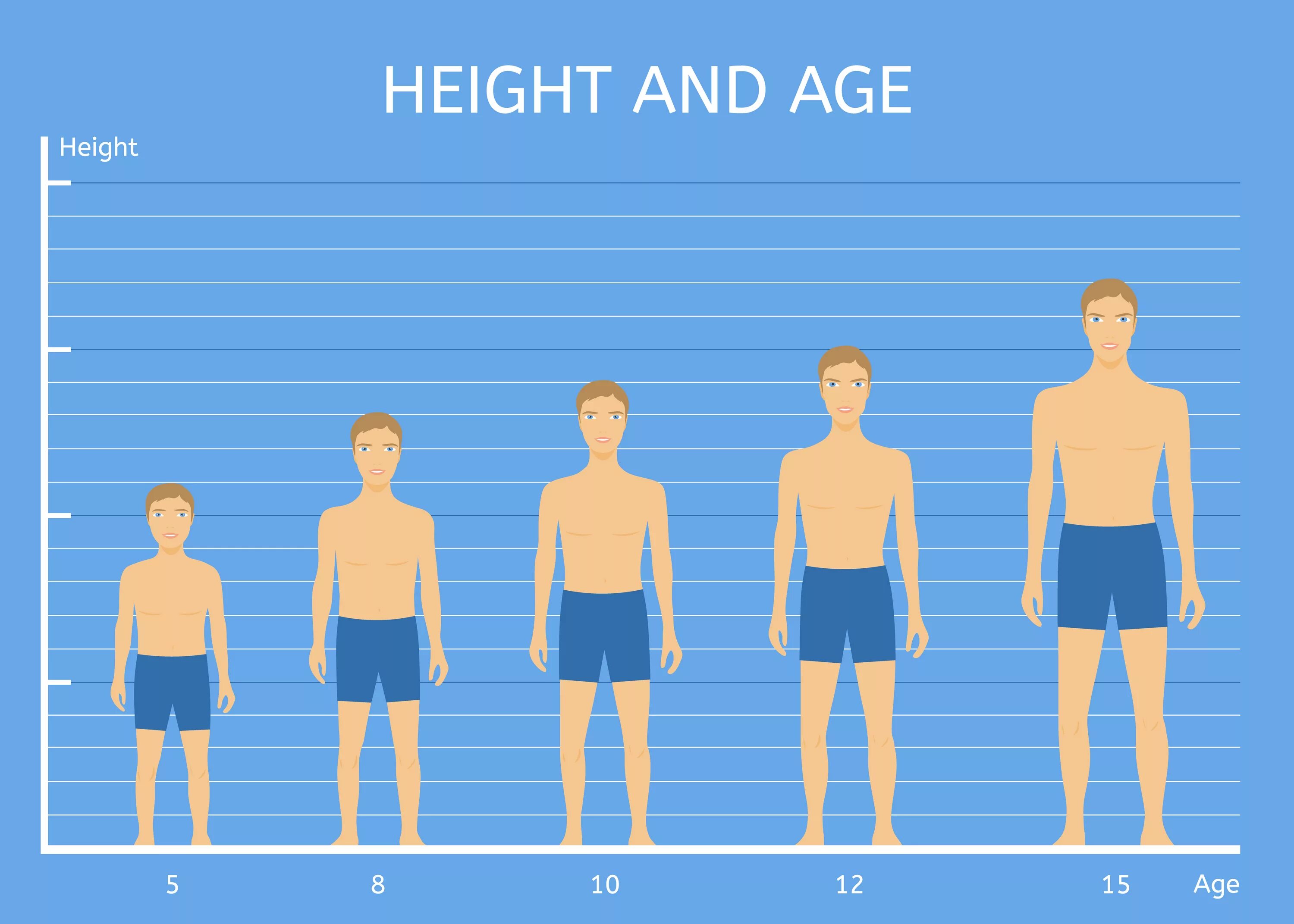 Height 15. Человек среднего роста. Рост человека. Люди по росту. Средний рост человека.