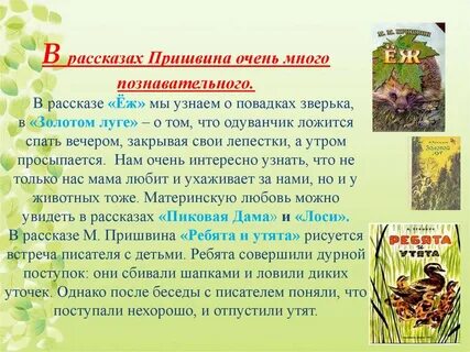Золотой луг основная мысль