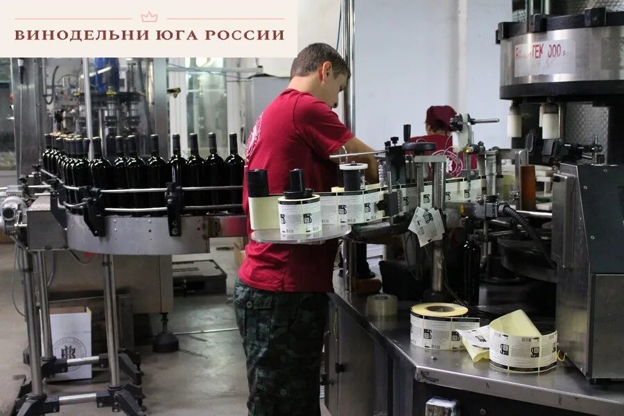 Работа на кубани краснодарский край. Отрасли промышленности краснодарского края края. Кубань краснодарский край. Трудоустройство в краснодаре фото. День основания краснодарского края.