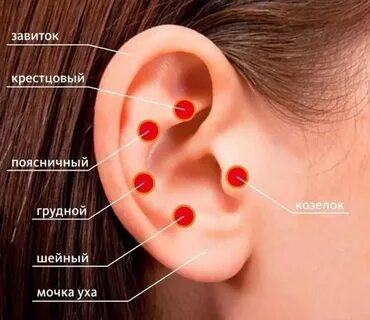 Массаж козелка уха