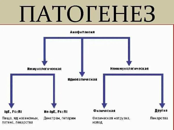 Анафилаксия патогенез схема. Патогенез анафилактического шока схема. Анафилаксия патогенез. Механизм развития анафилаксии. Анафилактический шок патогенез