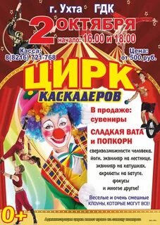 Цирк в мурино