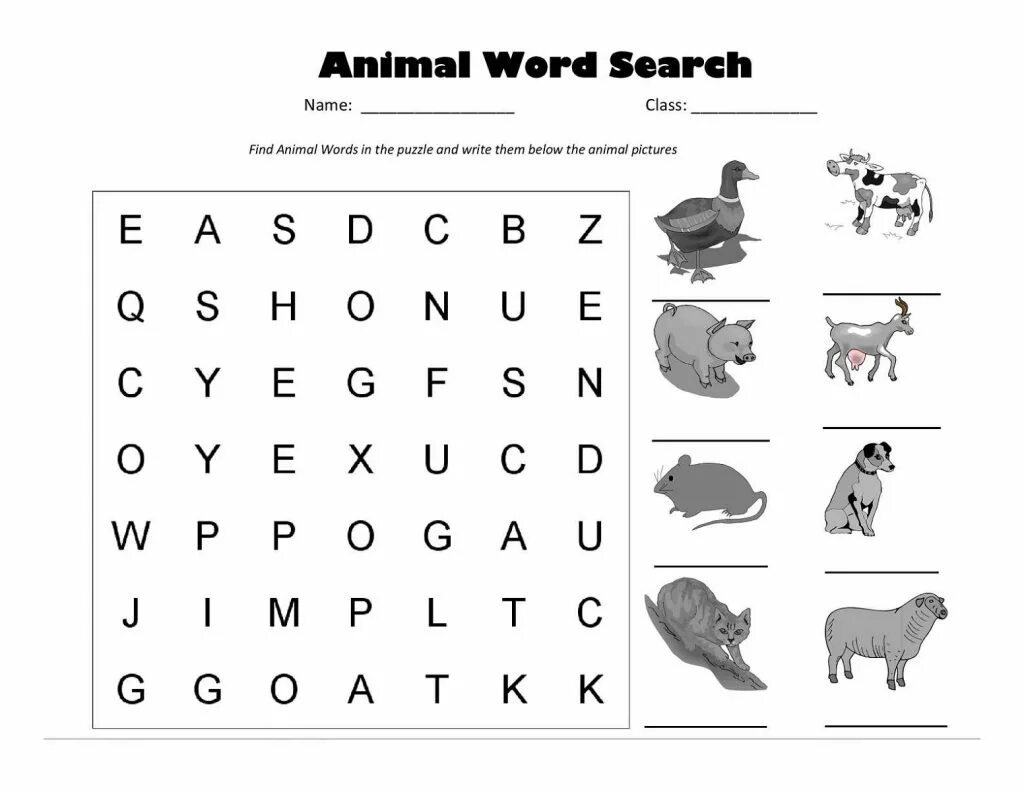 Animal search. Животные на английском задания. Задания про животных на английском. Задания по английскому на тему животные. Animals задания.