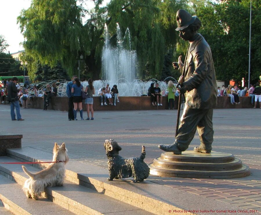 Город гомель беларусь. Белорусский город гомель. Добрый беларусь гомель. Гомель город. Гомель беларусь.