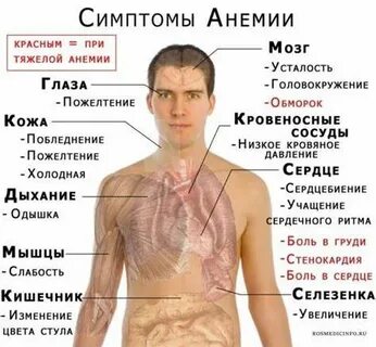 Симптомы диета