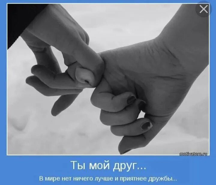 Друзья вместе. Дружба картинки. Настоящие друзья. Моим друзьям с любовью. Любовь детей и животных.