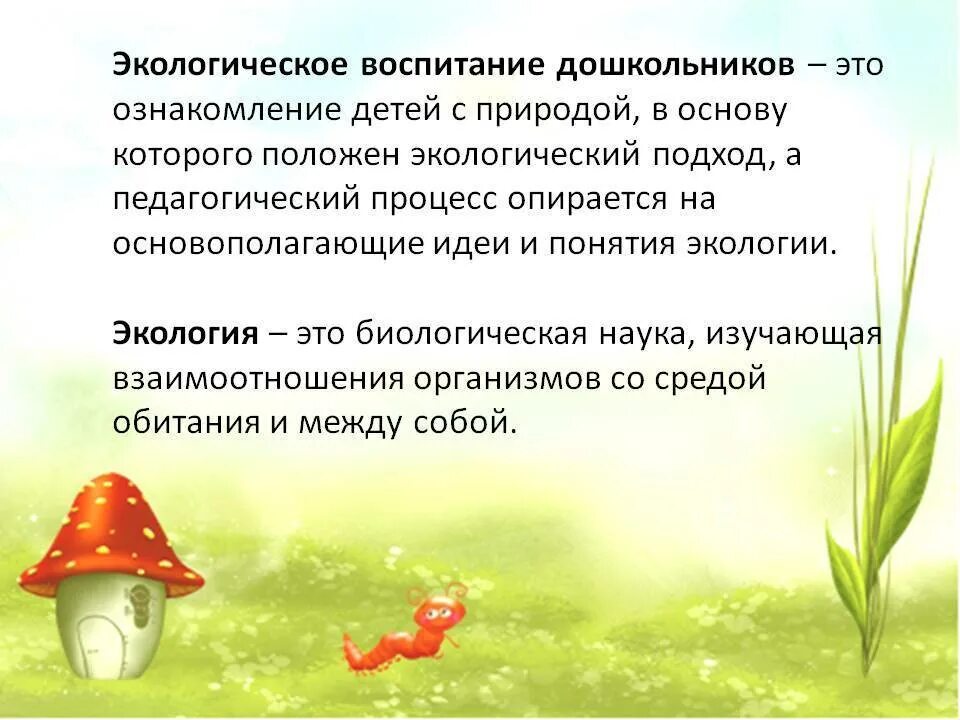 Экологическое развитие детей старшего дошкольного возраста. Экологическое воспитание дошкольников. экологическое воспитание дошкольников в доу. ознакомление дошкольников с природой. экология для дошкольников.