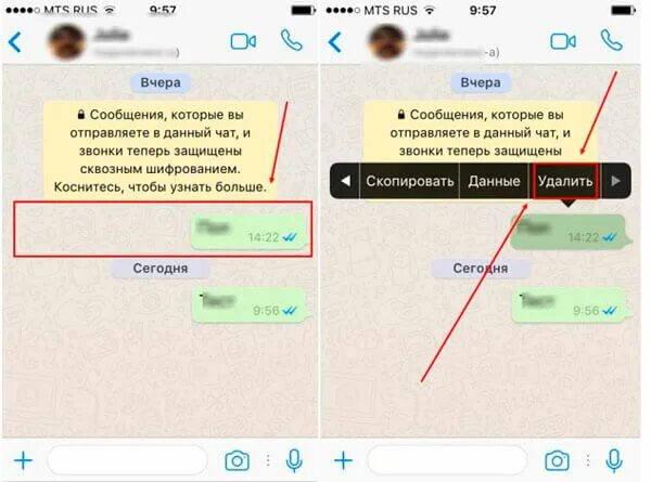 Как удалить корзину ватсап. Корзина в ватсапе. как в ватсапе удалить из корзины. как найти корзину в ватсапе. как чистить айфон в ватсап.