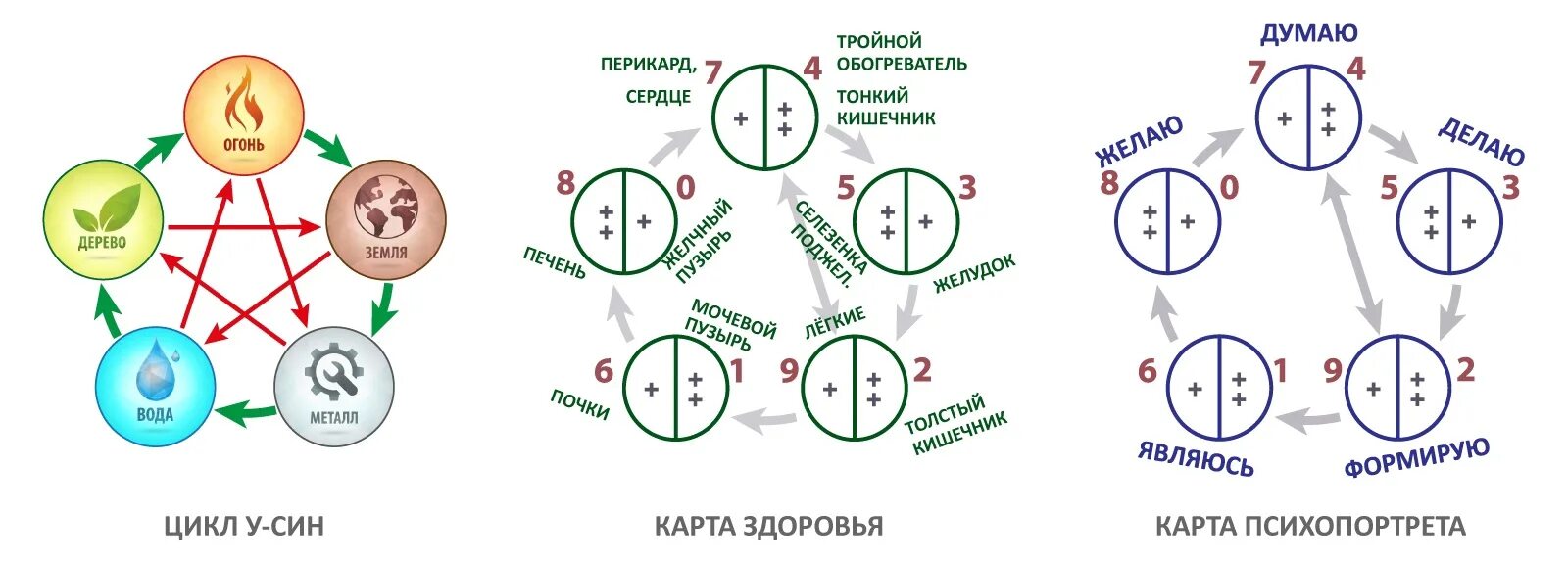 Круг 5 элементов. Система 5 элементов у-син. Круг у-син 5 элементов. Теория Усин 5 стихий. Круг у-син 5 элементов в Бацзы.