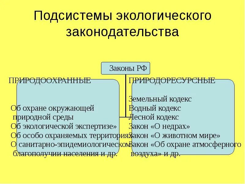 Природное законодательство. Подсистемы экологического законодательства. Экологическая подсистема. Подсистемы окружающей среды. Две подсистемы экологического законодательства.