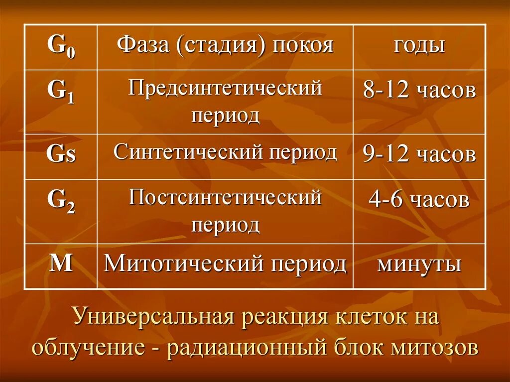 Фазы облучения