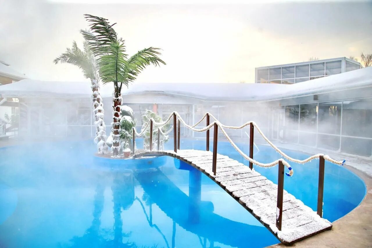 Долфин ярославль. Долфин ярославль отель дельфинарий. Долфин ярославль. Ярославль дельфинарий отель. Ярославль дубки dolphin planet.