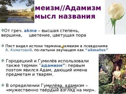Раннее лето пора цветения