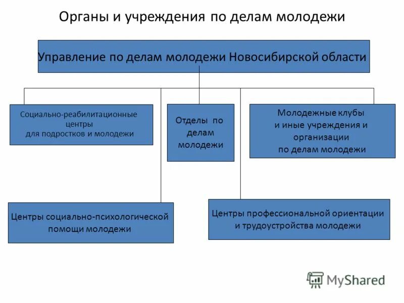 Органах службах и учреждениях осуществляющих. Система органов по делам молодежи. Функции органов по делам молодежи. Структура молодежной политики. Структура управления по делам молодежи.