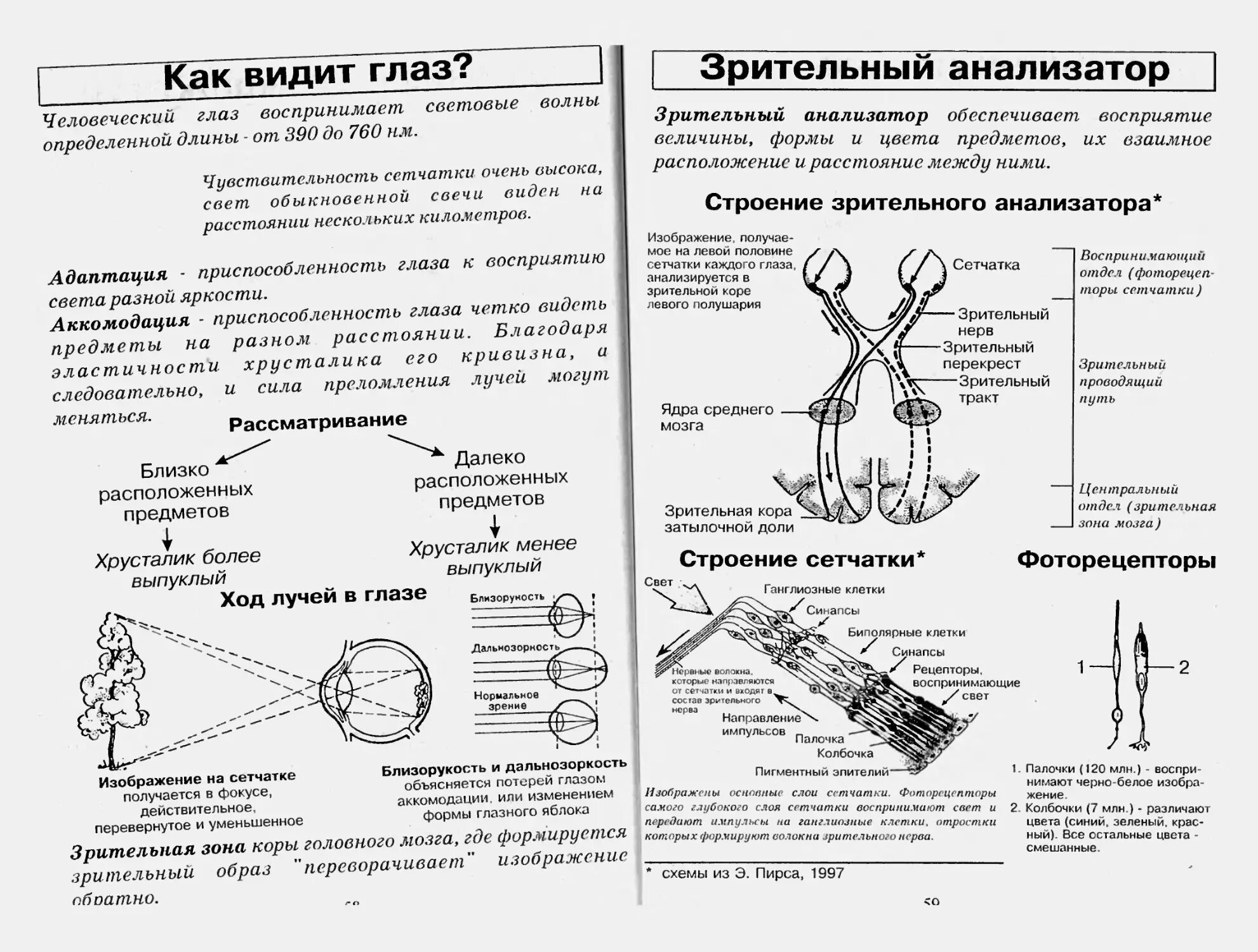 Уроки биологии 8 кл. Строение зрительного анализатора биология 8 класс таблица. Глазной анализатор схема 8. Строение зрительного анализатора биология 8 класс. Зрительный анализатор строение и функции анатомия.