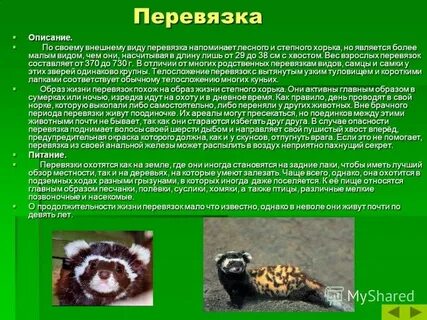 Перевязка занесена в красную книгу или нет
