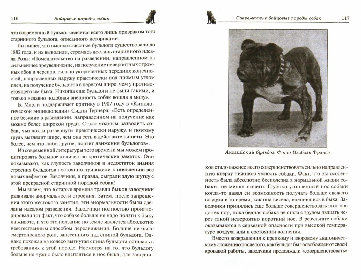 Таблица бойцовых пород собак. Происхождение собак. Происхождение собак кратко. Происхождение собак на земле