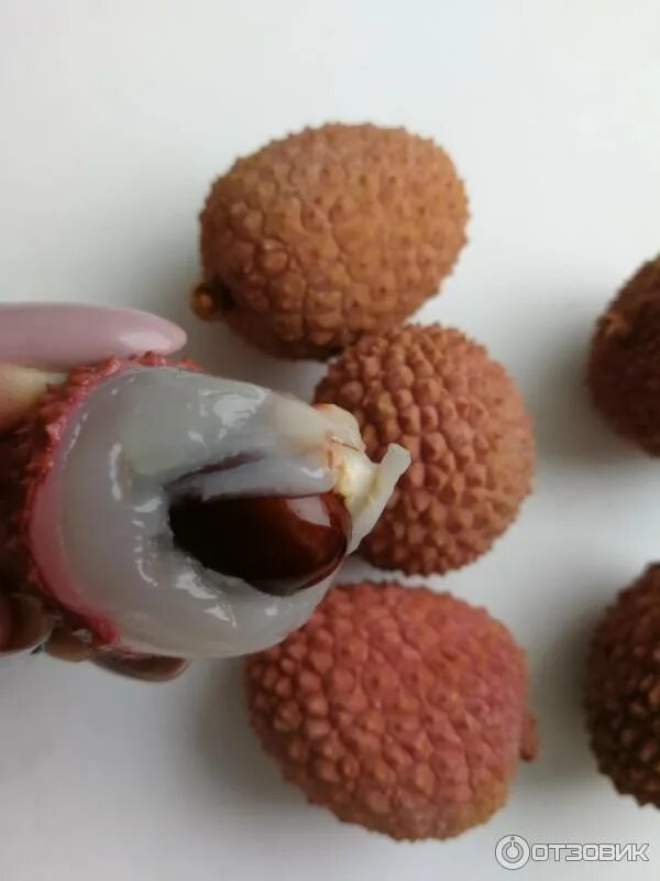 Как выглядит личи внутри Green Lychees Melissas Produce