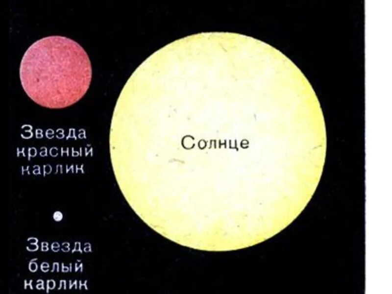 Как солнце станет белым карликом. Звезды гиганты и белые карлики. белый карлик и солнце сравнение. звезды типа солнца. звезды карлики по сравнению с солнцем.