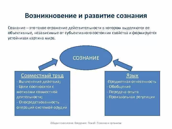 Условие развития сознания. Происхождение сознания в философии схема. Возникновение и развитие сознания человека в психологии. Основные условия возникновения и развития сознания. Происхождение и развитие сознания человека в психологии кратко.