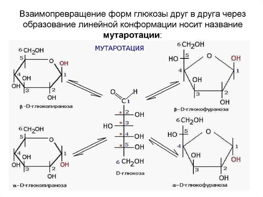 Арабиноза мутаротация. Таутомерия моносахаридов. Мутаротация. Мутаротация маннозы. Схема мутаротации рибозы.