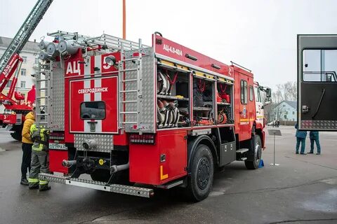 29 ра