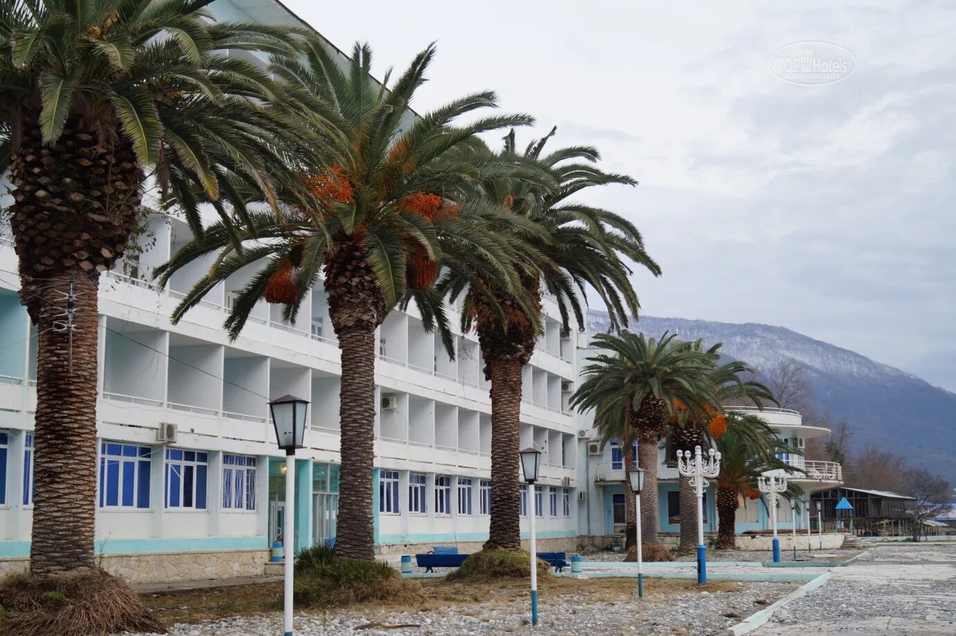 пансионат кавказ отзывы