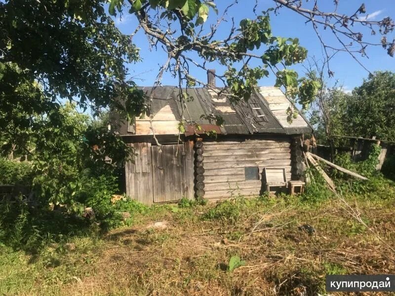 Село воротынец нижегородская область. Погода нижегородская село фокино. Погода нижегородская село фокино. Село фокино нижегородская область. Погода нижегородская село фокино.