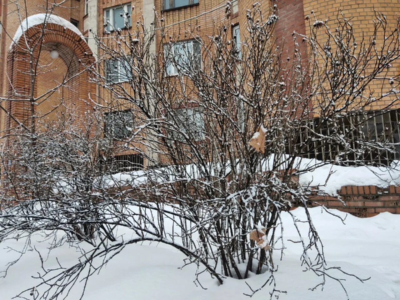 Снег с дождем Калуга. В Калужской области прогнозируют дожди. Никольское калуга