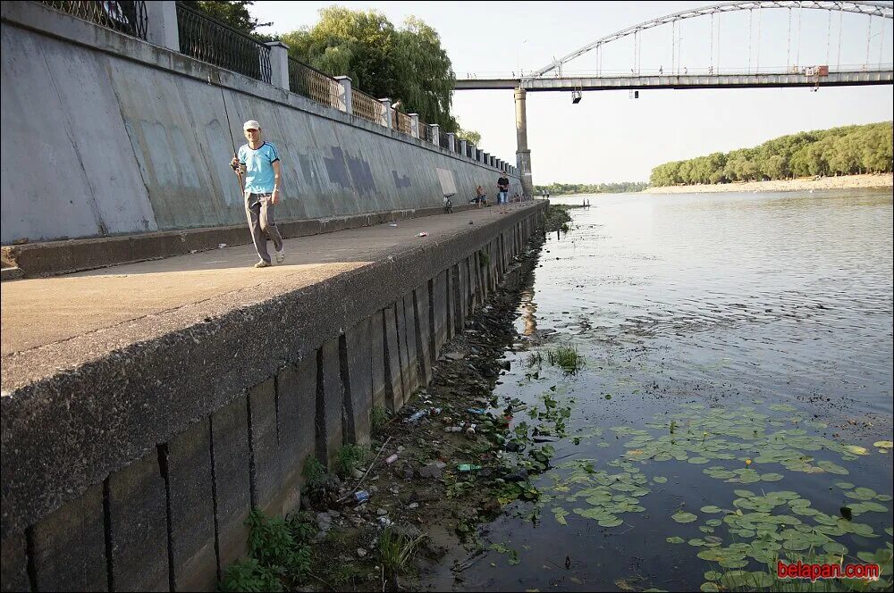 Гомельский мост через реку СОЖ. Обводный канал обмелел. Уровень воды в реке СОЖ. Рыбалка на реке СОЖ. Уровень воды смоленск сож