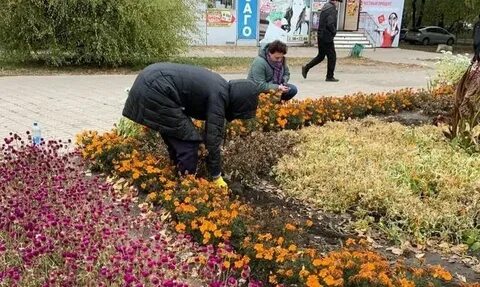 Погода в цветочном