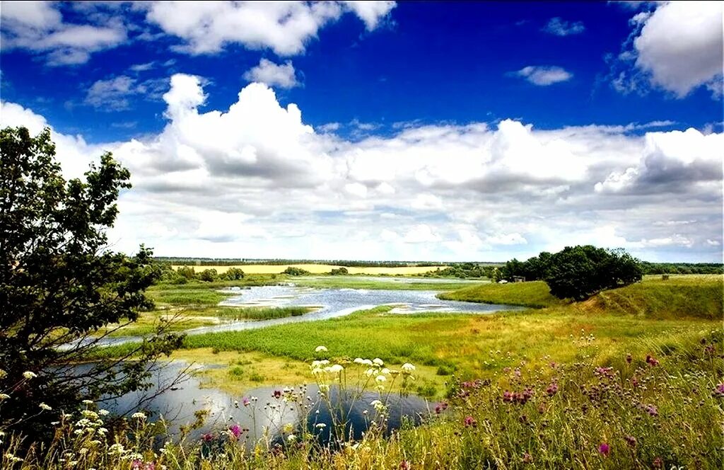 Родина природа. Природа нашей Родины. Родина Россия. Родина родной край.