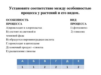Установите соответствие между особенностями жизненного цикла