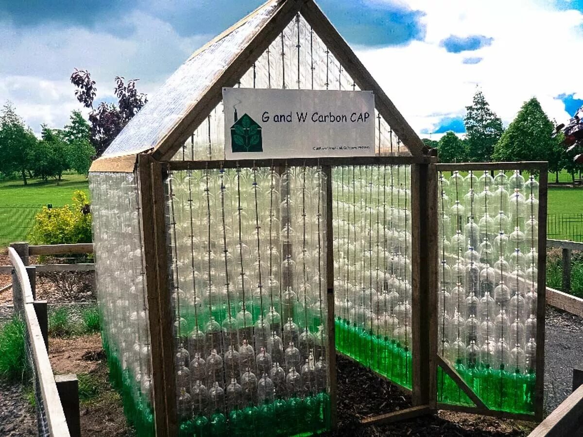 Парник из пластиковых бутылок. Пластиковые бутылки на даче. Изделия из баклажки. Пластиковые бутылки в саду. Цветы в пластиковых бутылках на даче.