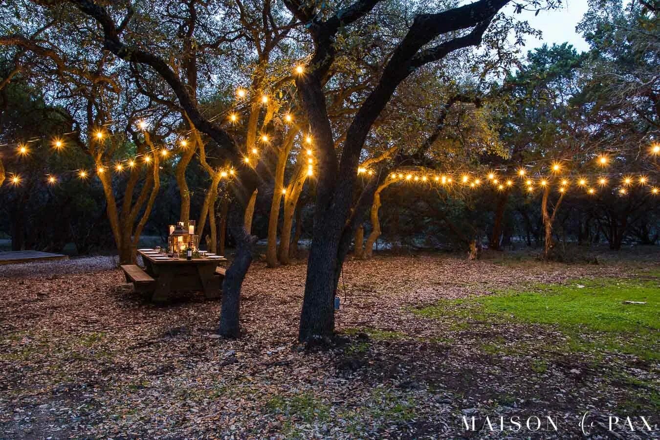 String tree. String lights outdoor tree. yellow lights hanging in the yard. independence day tree string lights. lights in the tree.