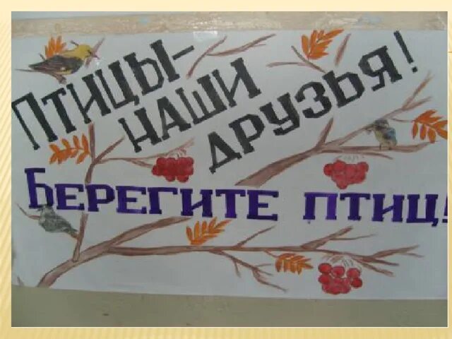 Берегите птиц берегите природу. Берегите птиц. надпись берегите птиц. плакат берегите птиц. плакат берегите птиц лозунги.