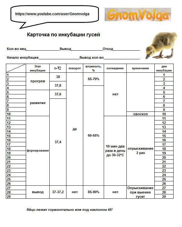 Таблица вывода гусей в инкубаторе блиц. Таблица вывода гусей в инкубаторе. Таблица вывода гусят в инкубаторе Несушка. Режим инкубации гусей таблица. Инкубатор блиц норма 72 таблица