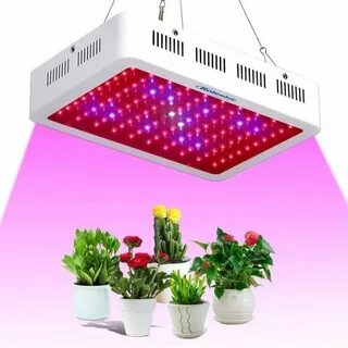 Led plant lights