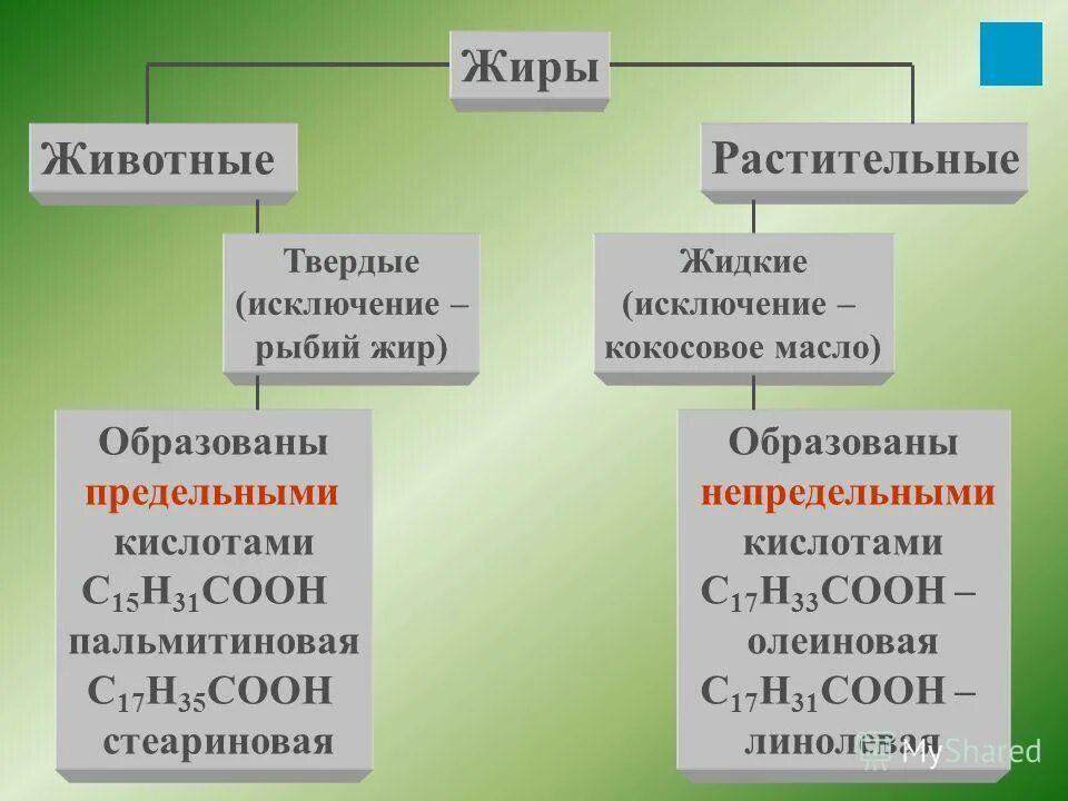 Результат гидролиза жидкого жира