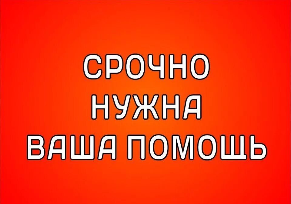 Нужно срочно сказать. Срочно нужна помощь. Очень срочно нужна помощь. Срочно нужна ваша помощь. Срочно.