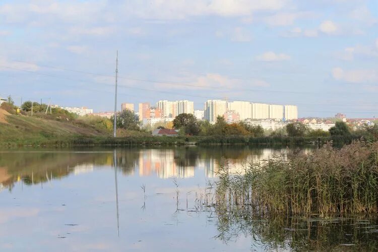 барские пруды гребнево. пруды щелково 7. поселок свердловский суворовские пруды. барские пруды фрязино остров. барские пруды щелково.