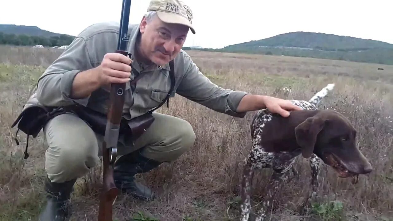 Охота с легавой на тетерева. Снаряжение для охоты на уток. Охота с курцхааром на фазана. Спортивная охота. Разная охота на дичь.
