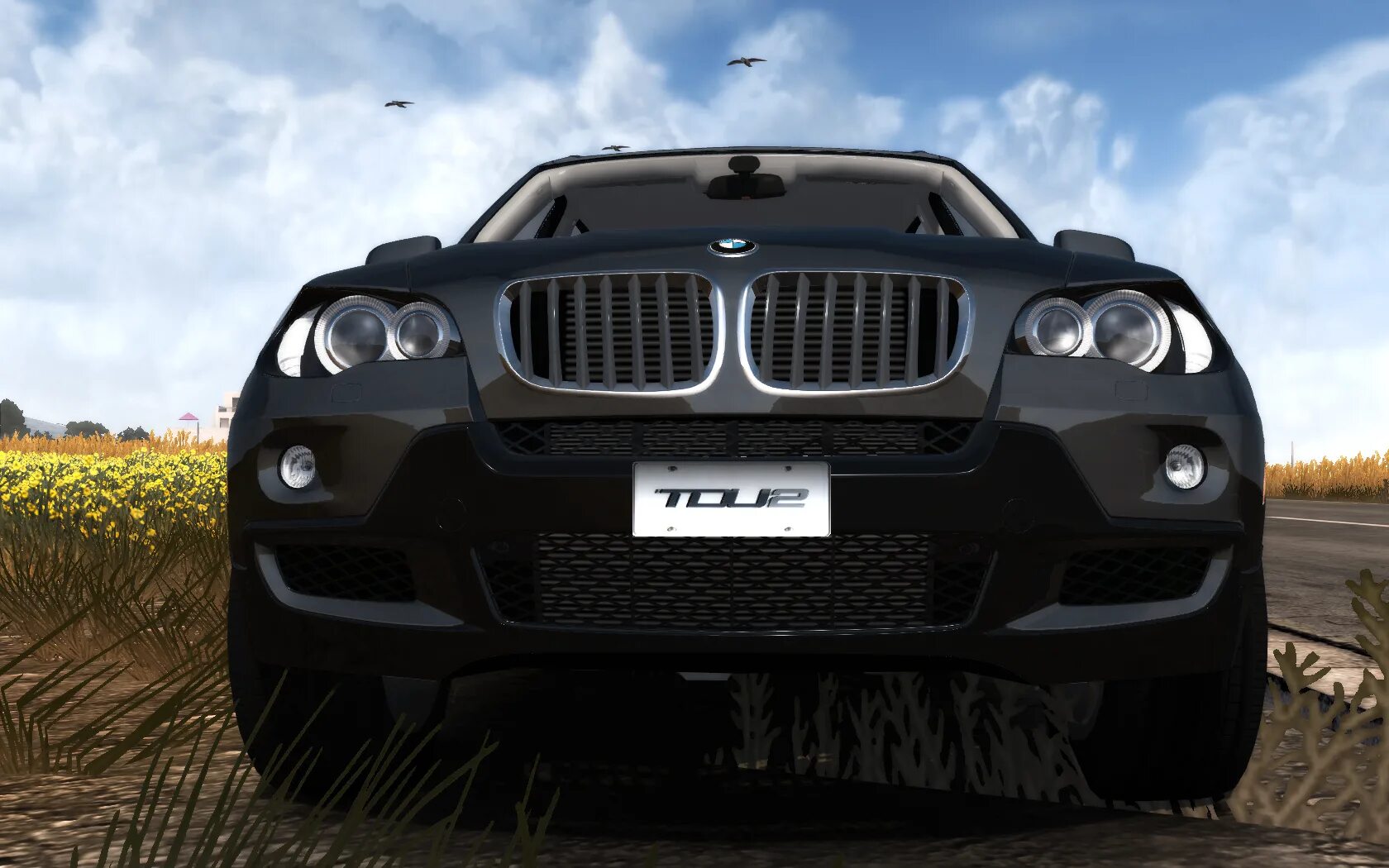 Игра bmw m 5. BMW x9. BMW x5 DAYZ. Игры BMW x6. БМВ Икс 5 гонки.