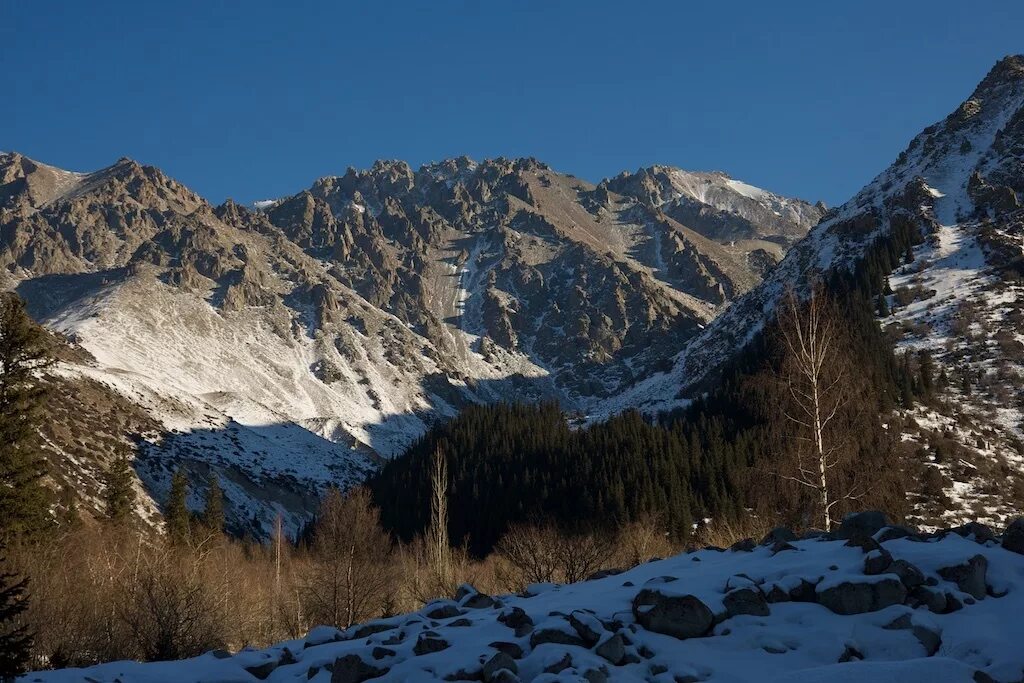 Ала алады. Ущелье ала-Арча Киргизия. Ала-Арча (река). Заповедник ала Арча Бишкек. Ущелье ала Арча зимой.